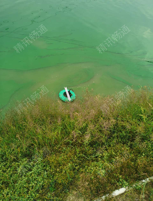 水质监测系统